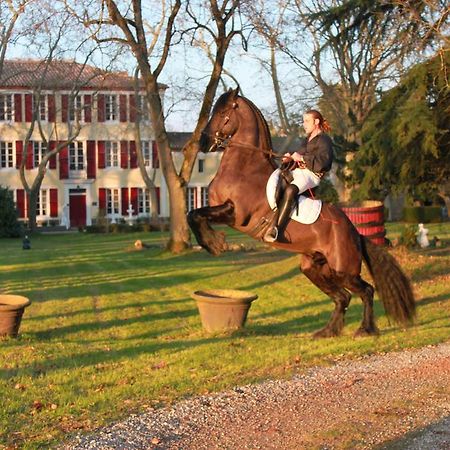 Le Relais Du Silence Chateau Lavail Labastide-dʼAnjou Extérieur photo